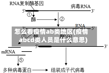 怎么看疫情ab类地区(疫情abcd类人员是什么意思)-第1张图片