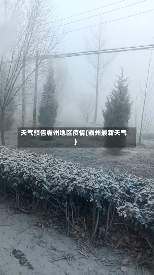天气预告霸州地区疫情(霸州最新天气)-第2张图片