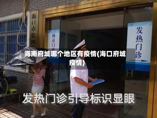 海南府城哪个地区有疫情(海口府城疫情)-第3张图片