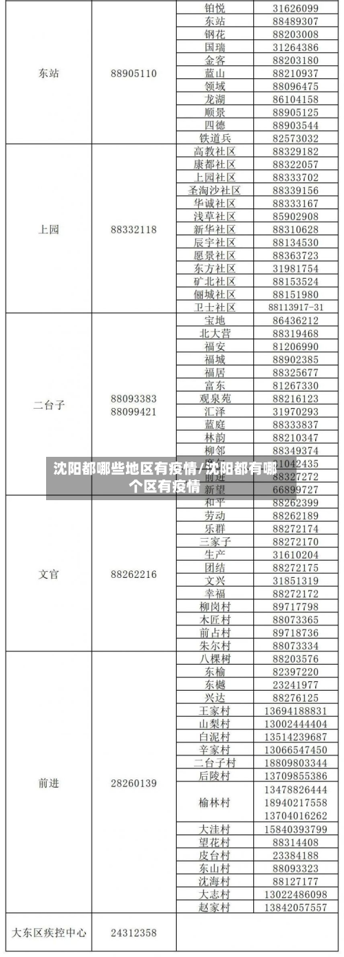 沈阳都哪些地区有疫情/沈阳都有哪个区有疫情-第1张图片